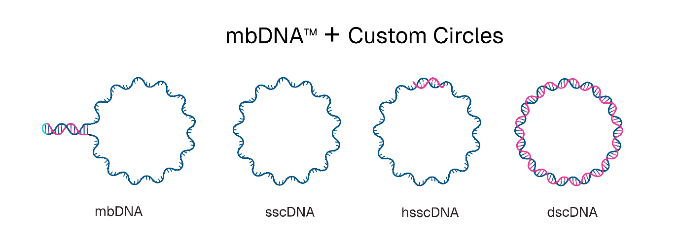 touchlight touchlight