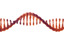 AdobeStock 554082818