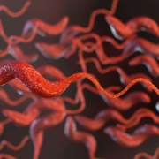 AdobeStock 1139130191