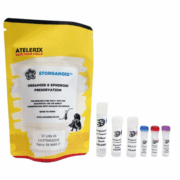 Atelerix launches STORganoid ambient-temperature preservation solution for organoids and spheroids 5 Atelerix STORganoid