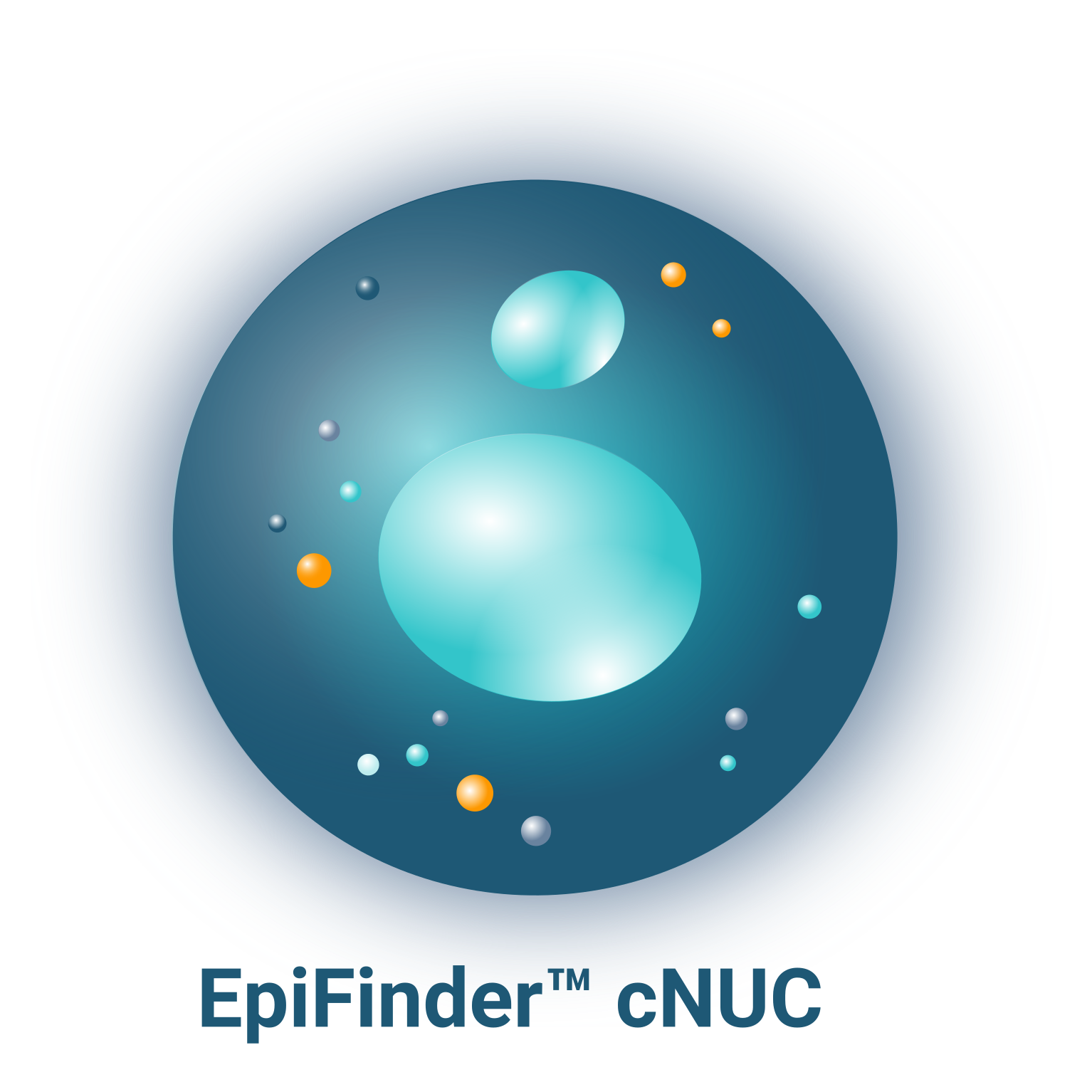 Epigenica_EpiFinder_cNUC Epigenica EpiFinder cNUC