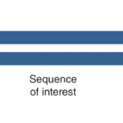 Touchlight and New England Biolabs launch EnClose cell-free dbDNA synthesis kit for nucleic acid therapeutic development 6 touchlight dbDNA