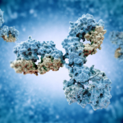 Immunoglobulins are components of the adaptive immune system. 5 iStock 512051390