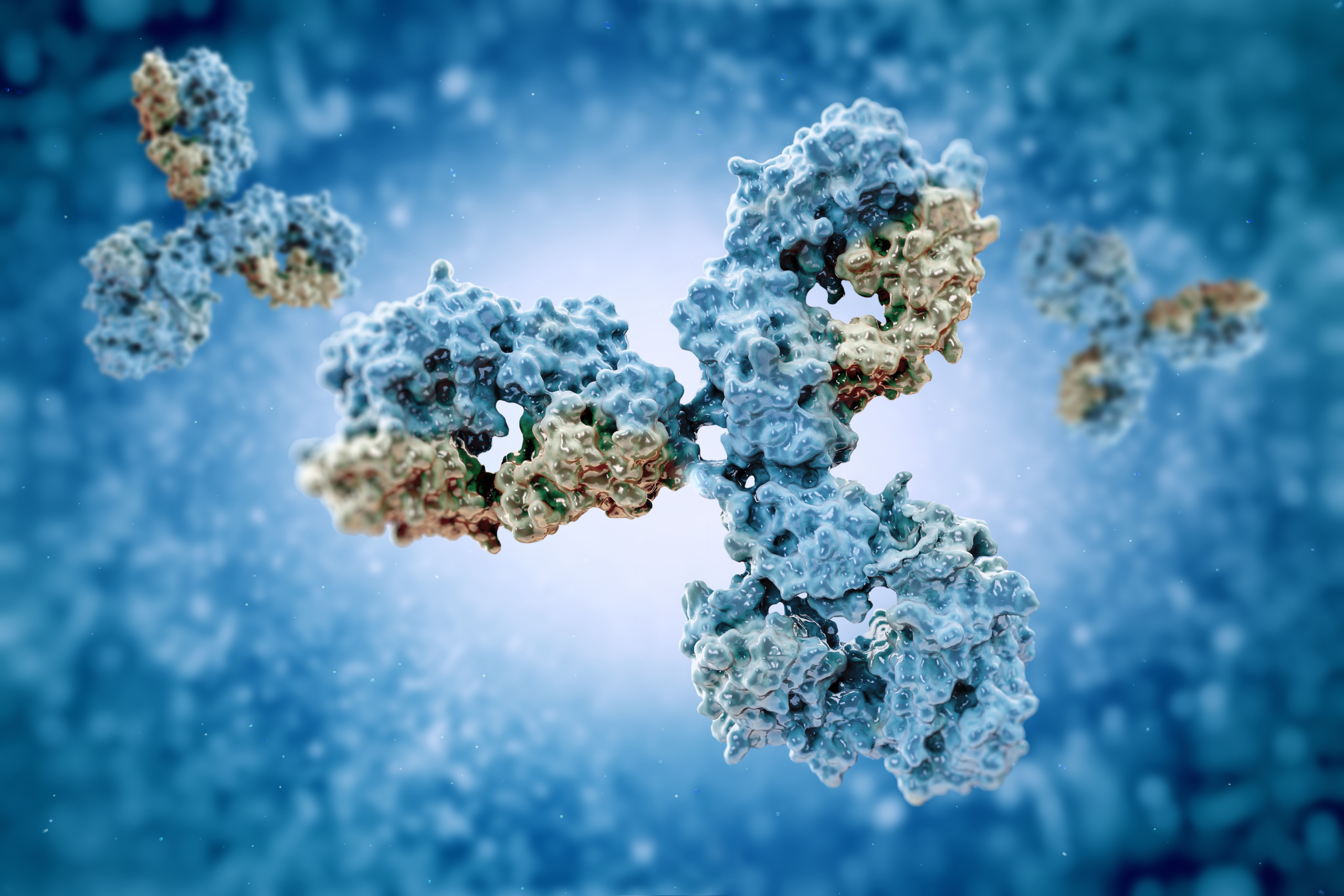 antibodies iStock 512051390 scaled