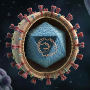 Scientists develop dried whole blood test to detect Zika and hepatitis C without lab purification 7 HepC virus