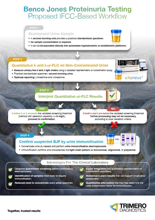 01_Infografía Alternative BJPT 01 Infografia Alternative BJPT