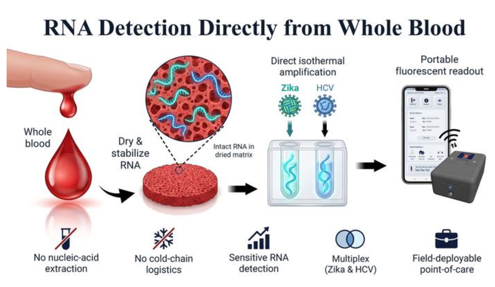 dried_blood_zika dried blood zika