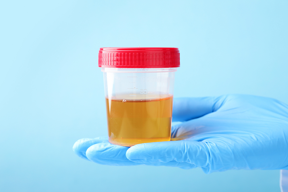 shutterstock_2732082587 shutterstock 2732082587